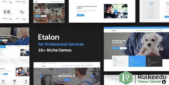 Etalon - 专业服务多概念WordPress主题