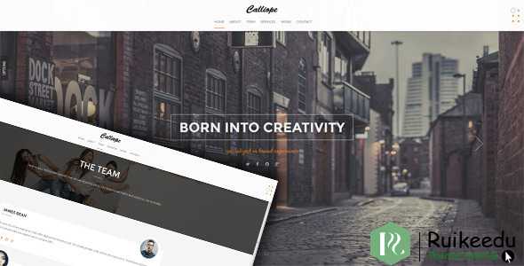 Calliope - 投资组合和代理商WordPress主题