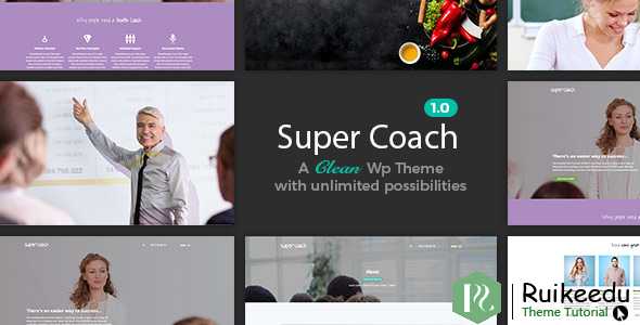 Super Coach -专业人士的干净WordPress主题