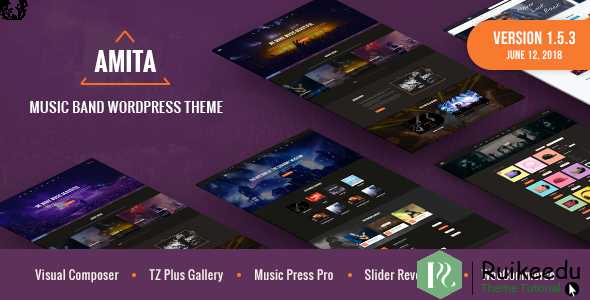 AMITA - 音乐乐队WordPress主题