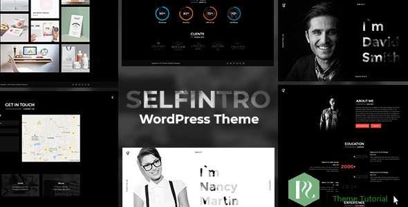 Selfintro - 简历和作品集WordPress主题
