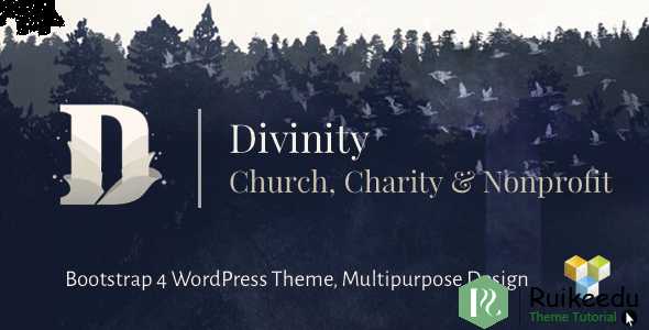 Divinity 教会,非营利组织,慈善活动主题