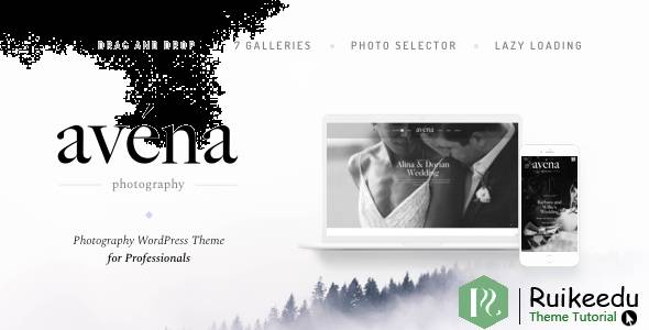Avena - 专业摄影WordPress主题
