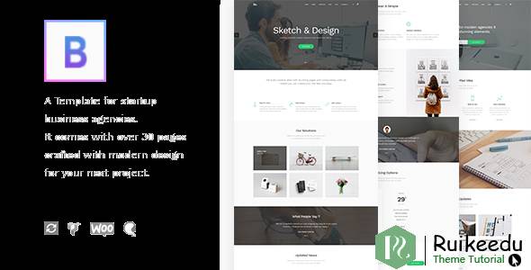 BoTheme - 初创企业WordPress主题