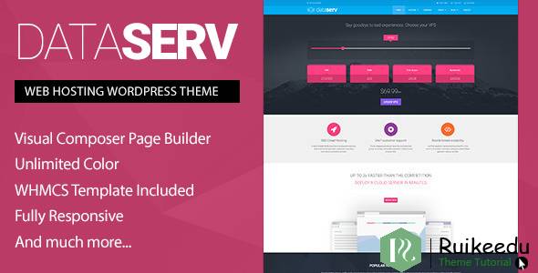 DATASERV - 专业托管WORDPRESS主题