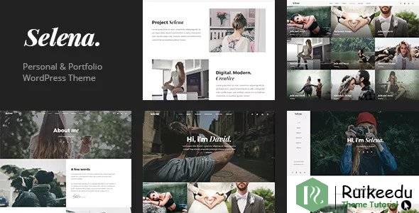 Selena - 多功能WordPress主题