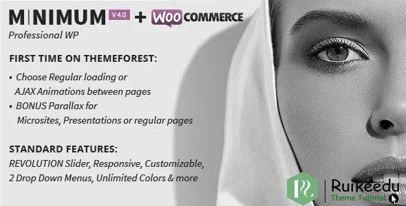 MINIMUM - 专业的WordPress主题