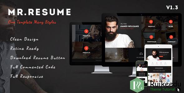 Morgan -简历,简介和投资组合WP主题