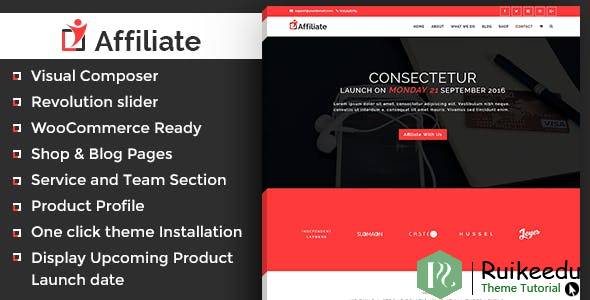 Affiliate Marketing - WordPress主题