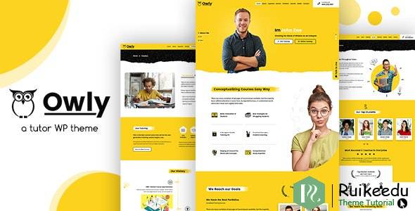 Owly -导师,培训WordPress,学习主题